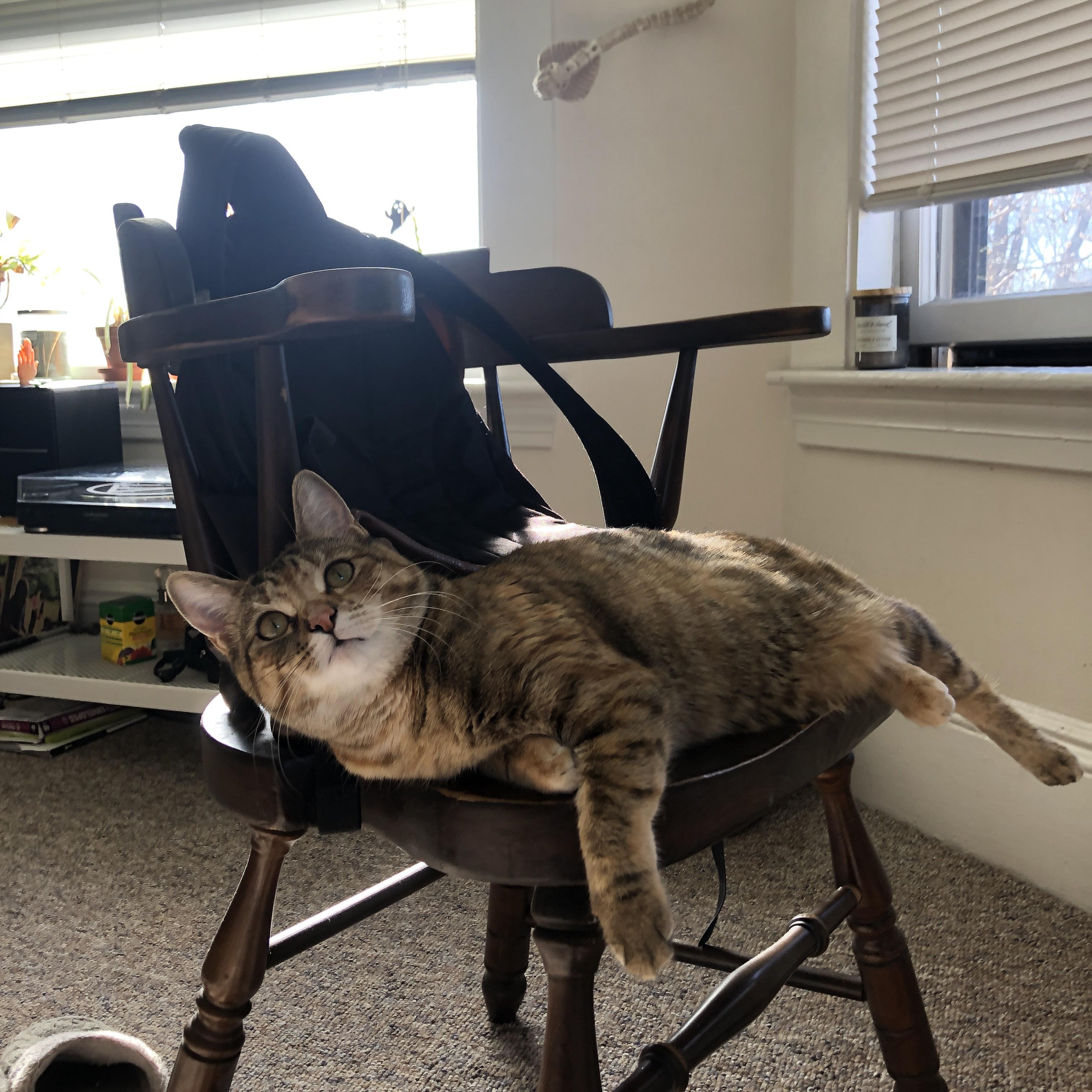 IM体育赛事直播入口-公牛踏平奇才，约基奇在欧冠决赛接管比赛，跨越运动领域的统治力